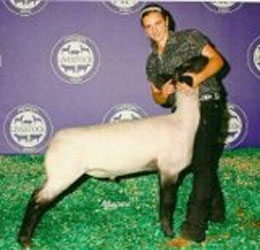 Wright Club Lambs Winner
