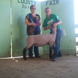 Wright Club Lambs Winner