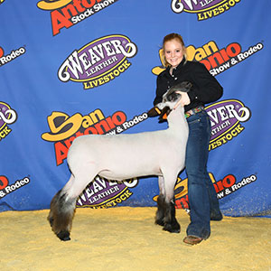 Wright Club Lambs Winners