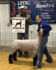 Wright Club Lambs Winners