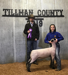 Wright Club Lambs Winners