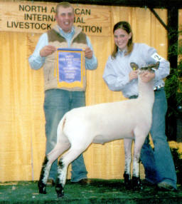 Wright Winner