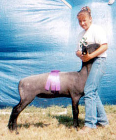 Wright Winner
